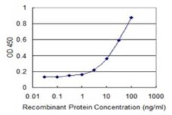 ALLC Antibody (3D3), Novus Biologicals 0.1 mg | Buy Online | Novus Biologicals | Fisher Scientific