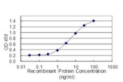 ALPPL2 Antibody (2B3), Novus Biologicals 0.1 mg | Buy Online | Novus Biologicals | Fisher Scientific