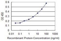AMELX Antibody (6G3), Novus Biologicals 0.1 mg | Buy Online | Novus Biologicals | Fisher Scientific