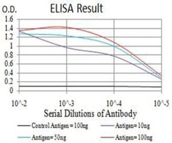 AP-2 gamma Antibody (3A11A5) - BSA Free, Novus Biologicals:Antibodies:Primary
