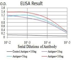 AP2M1 Antibody (4F1B2) - BSA Free, Novus Biologicals 0.1 ml; Unconjugated:Antibodies,