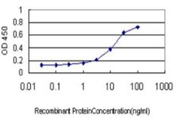 Novus Biologicals AP4B1 Antibody (1B7), Novus Biologicals 0.1 mg | Buy Online | Novus Biologicals&trade; | Fisher Scientific