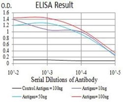 APBA2 Antibody (7G5G11) - BSA Free, Novus Biologicals 0.1 ml; Unconjugated:Antibodies,