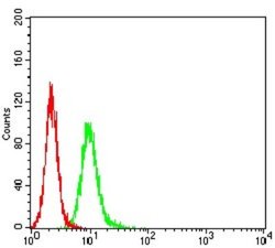 APBA2 Antibody (7G5G11) - BSA Free, Novus Biologicals 0.1 ml; Unconjugated:Antibodies,