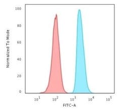 APE Mouse anti-Human, Clone: CPTC-APEX1-2, Novus Biologicals 20 &mu;g;