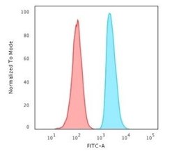 APE Antibody (CPTC-APEX1-2) - Azide and BSA Free, Novus Biologicals 100