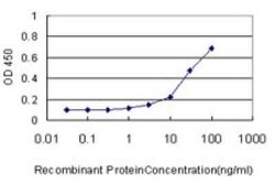 APEG1 Antibody (2C2-2C7), Novus Biologicals 0.1 mg | Buy Online | Novus Biologicals | Fisher Scientific