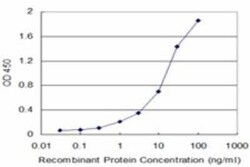 ARF5 Antibody (1B6), Novus Biologicals 0.1 mg | Buy Online | Novus Biologicals | Fisher Scientific