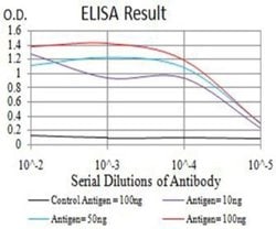 ARFGAP1 Antibody (1C4E2) - BSA Free, Novus Biologicals 0.1 ml; Unconjugated:Antibodies,