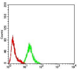 ARFGAP1 Antibody (1C4E2) - BSA Free, Novus Biologicals 0.1 ml; Unconjugated:Antibodies,