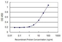 ARG2 Antibody (3D10), Novus Biologicals 0.1 mg | Buy Online | Novus Biologicals | Fisher Scientific