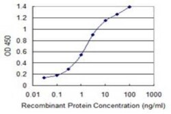 ARL6IP4 Antibody (5E5), Novus Biologicals 0.1 mg | Buy Online | Novus Biologicals | Fisher Scientific