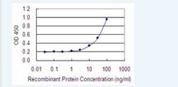 ASB5 Antibody (6B10), Novus Biologicals 100 &mu;g; Unconjugated:Antibodies,