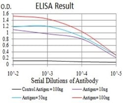 ASC/TMS1 Antibody (1C3D3) - BSA Free, Novus Biologicals:Antibodies:Primary