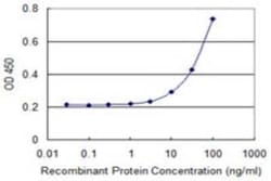 ASF1b Antibody (1B12), Novus Biologicals 0.1 mg, Unconjugated:Antibodies,
