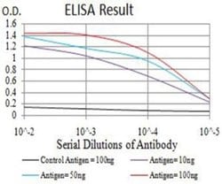 ASH2L Antibody (6B10H10) - BSA Free, Novus Biologicals 0.1 ml; Unconjugated:Antibodies,