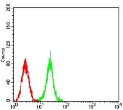 ASH2L Antibody (6F6B9) - BSA Free, Novus Biologicals:Antibodies:Primary