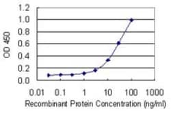 ASZ1 Antibody (3C9), Novus Biologicals 0.1 mg; Unconjugated:Antibodies,