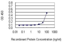 ATE1 Antibody (2B6), Novus Biologicals 0.1 mg | Buy Online | Novus Biologicals | Fisher Scientific