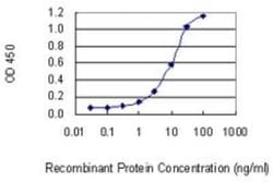 ATF5 Antibody (4G5), Novus Biologicals 0.1 mg | Buy Online | Novus Biologicals | Fisher Scientific