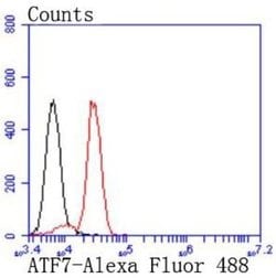ATF7 Rabbit anti-Human, Clone: JJ2-072, Novus Biologicals 100&mu;L:Antibodies,