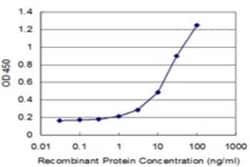 ATP5J Antibody (2F4), Novus Biologicals 0.1 mg | Buy Online | Novus Biologicals | Fisher Scientific