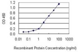 ATP6AP1 Antibody (3A2), Novus Biologicals 0.1 mg | Buy Online | Novus Biologicals | Fisher Scientific