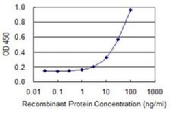 ATP6V1E1 Antibody (4E11), Novus Biologicals 0.1 mg | Buy Online | Novus Biologicals | Fisher Scientific