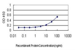 ATPase Na+/K+ beta 3 Antibody (1E9), Novus Biologicals 0.1 mg | Buy Online | Novus Biologicals | Fisher Scientific