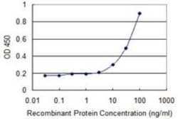 Adenine Nucleotide Translocator 2 Antibody (1D7), Novus Biologicals 0.1