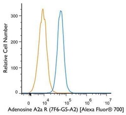 Adenosine A2aR Antibody (7F6-G5-A2), Alexa Fluor 700, Novus Biologicals 0.1 mL | Buy Online | Novus Biologicals (Bio-Techne) | Fisher Scientific