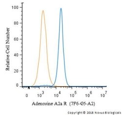 Adenosine A2aR Antibody (7F6-G5-A2) - Azide and BSA Free, Novus Biologicals