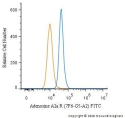 Adenosine A2aR Antibody (7F6-G5-A2) - Azide and BSA Free, Novus Biologicals