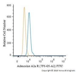 Adenosine A2aR Antibody (7F6-G5-A2) - Azide and BSA Free, Novus Biologicals