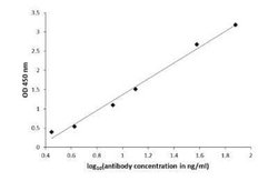 Agmatine Antibody, Novus Biologicals 100 &mu;g | Buy Online | Novus Biologicals | Fisher Scientific