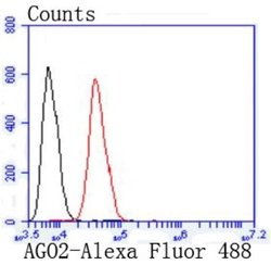 Ago2/eIF2C2 Antibody (JF0992), Novus Biologicals 100&mu;L:Antibodies, Monoclonal