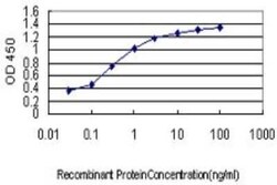 AKT3 Antibody (3F3), Novus Biologicals 0.1 mg | Buy Online | Novus Biologicals | Fisher Scientific