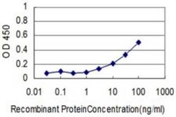 Albumin Antibody (1G12-1B3), Novus Biologicals 0.1 mg | Buy Online | Novus Biologicals | Fisher Scientific