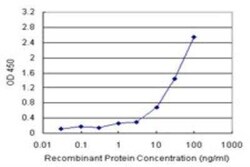 Albumin Antibody Pair, Novus Biologicals&trade;