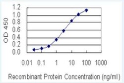 Alpha-TTP Antibody (7B5), Novus Biologicals 50 &mu;g | Buy Online | Novus Biologicals | Fisher Scientific