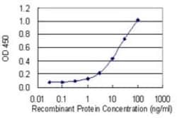 Ankyrin 1 Antibody (3C3), Novus Biologicals 0.1 mg | Buy Online | Novus Biologicals | Fisher Scientific
