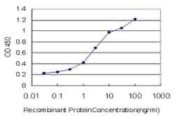 Annexin A10 Antibody (4G12), Novus Biologicals 0.1 mg, Unconjugated:Antibodies,