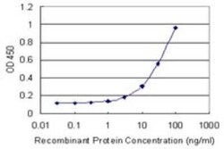 Annexin A9 Antibody (5G3), Novus Biologicals 0.1 mg | Buy Online | Novus Biologicals | Fisher Scientific