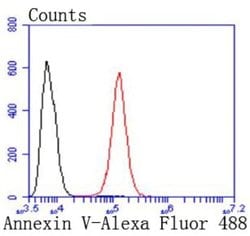 AnnexinV Rabbit anti-Human, Clone: JF50-11, Novus Biologicals 100&mu;L:Antibodies,