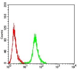 Apc1 Antibody (7G9C7) - BSA Free, Novus Biologicals 0.1 ml; Unconjugated:Antibodies,