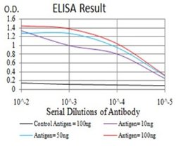 Apc10 Antibody (8F1D10) - BSA Free, Novus Biologicals 0.1 ml; Unconjugated:Antibodies,