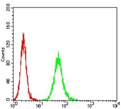 Apc10 Antibody (8F1D10) - BSA Free, Novus Biologicals 0.1 ml; Unconjugated:Antibodies,