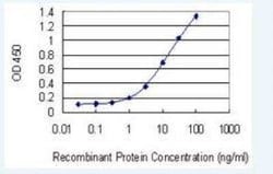 Apolipoprotein CIII Antibody (8H7), Novus Biologicals 0.1 mg; Unconjugated:Antibodies,