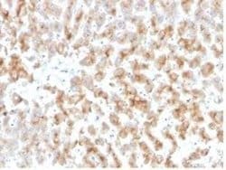Apolipoprotein D Mouse anti-Human, Clone: APOD/3415, Novus Biologicals 100 &mu;g | Buy Online | Novus Biologicals | Fisher Scientific