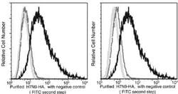 Avian Influenza A H7N9 Hemagglutinin Antibody (002) 50 &mu;L; Unconjugated:Antibodies,